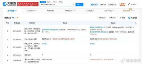 貨車幫關(guān)聯(lián)公司注冊(cè)資本大幅提升至61.1億元，信息系統(tǒng)集成服務(wù)成戰(zhàn)略重點(diǎn)