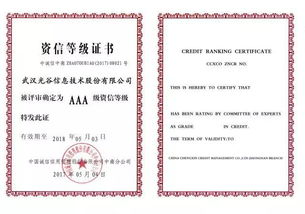 光谷信息2017 聚前行,夢(mèng)遠(yuǎn)航 信息系統(tǒng)集成服務(wù)